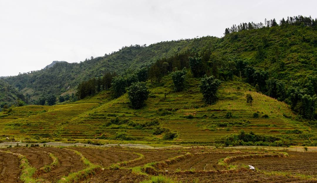 Half-Day Sapa Cultural Tour
